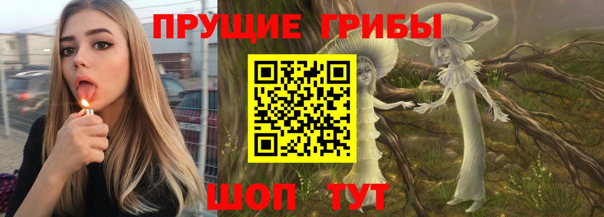 Галлюциногенные грибы ЛСД  Вход с VPN  Новокубанск 